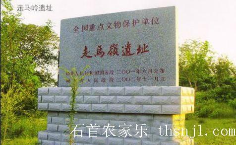 焦山河走马岭文化遗址